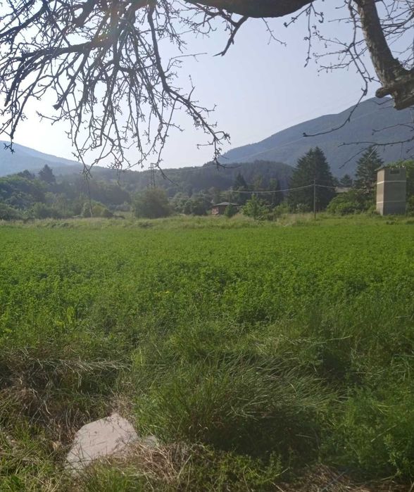 Продава поземлен имот в гр.Сапарева баня