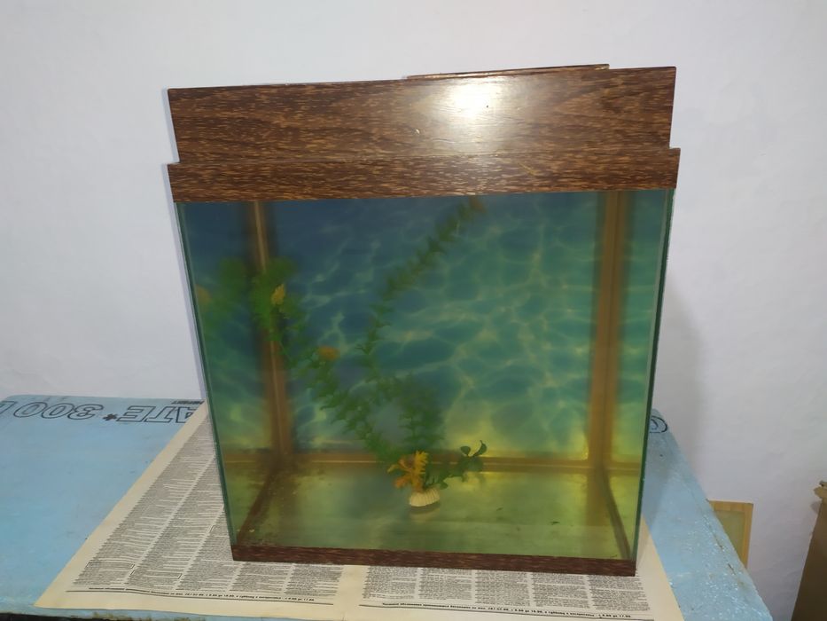 Аквариум 41л + бонусы и рыбки.