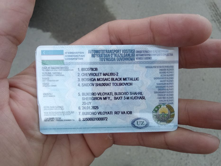 Малибу хл 2025 15-январь