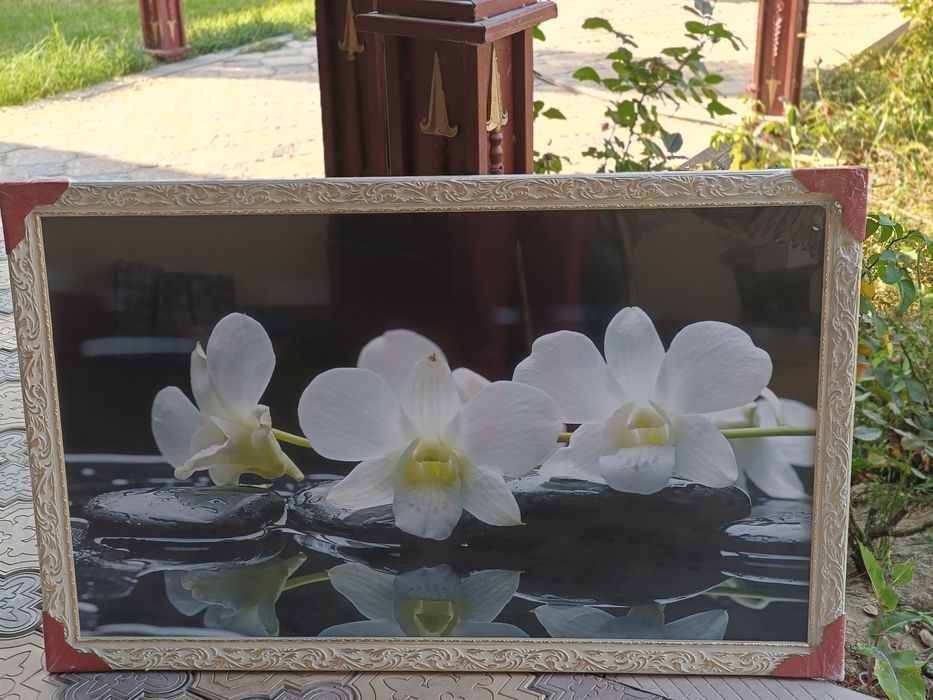 Картина новая красивый с рисунком