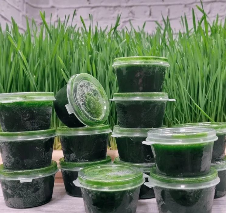 Витграсс. Всегда в наличии