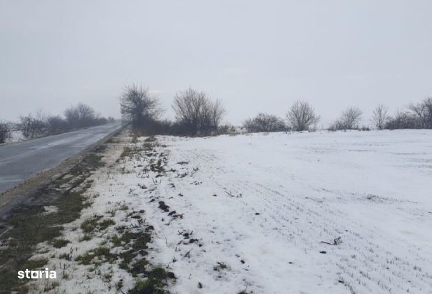 Teren extravilan Comuna Iratosu, judetul Arad