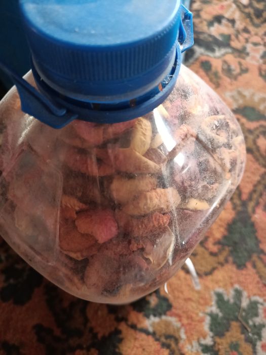 Продам сушеные яблоки