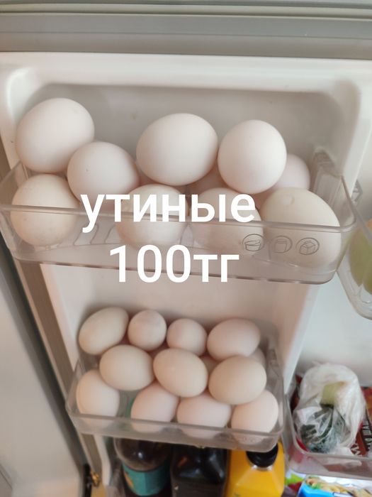 Утки бролерные Агидель 6 месаца