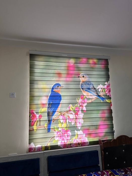 Sifatli jalyuzilar arzon narxda