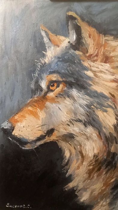 Қасқырдың суреті