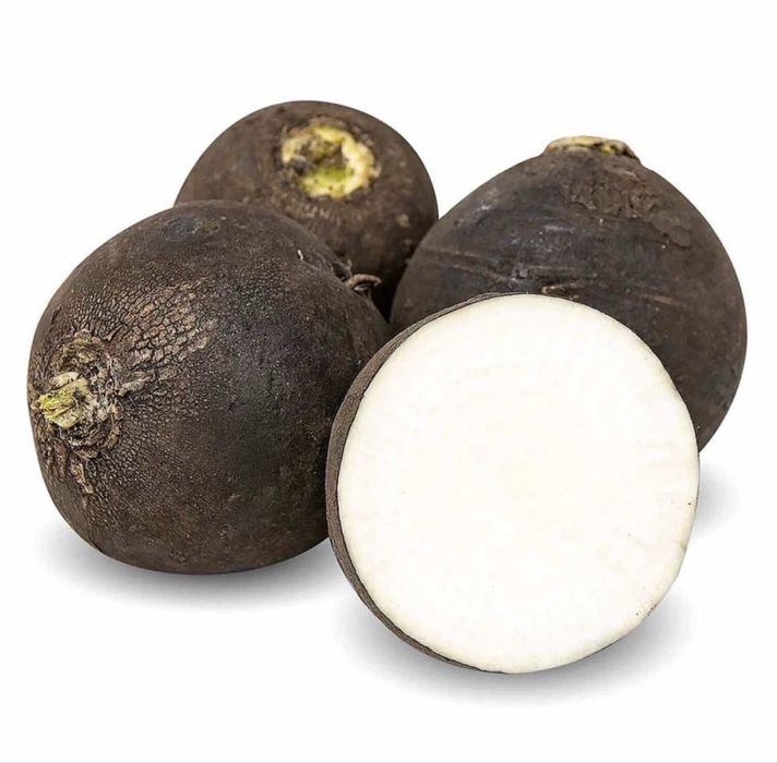 Редька черная сочная домашняя