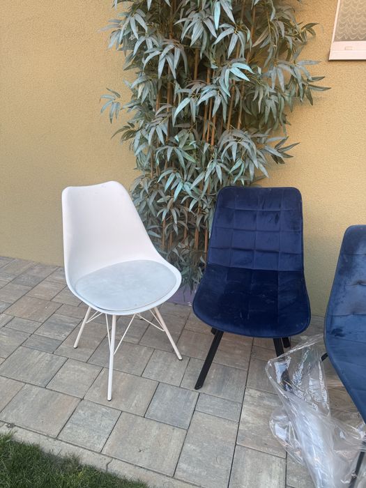 Vand 6 scaune si inca 2 bonus