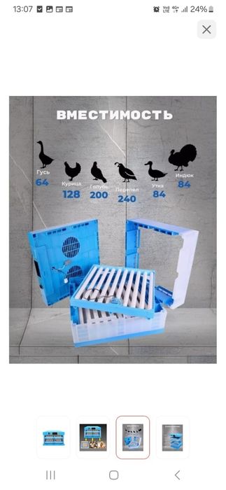 Инкубатор для яиц Умница