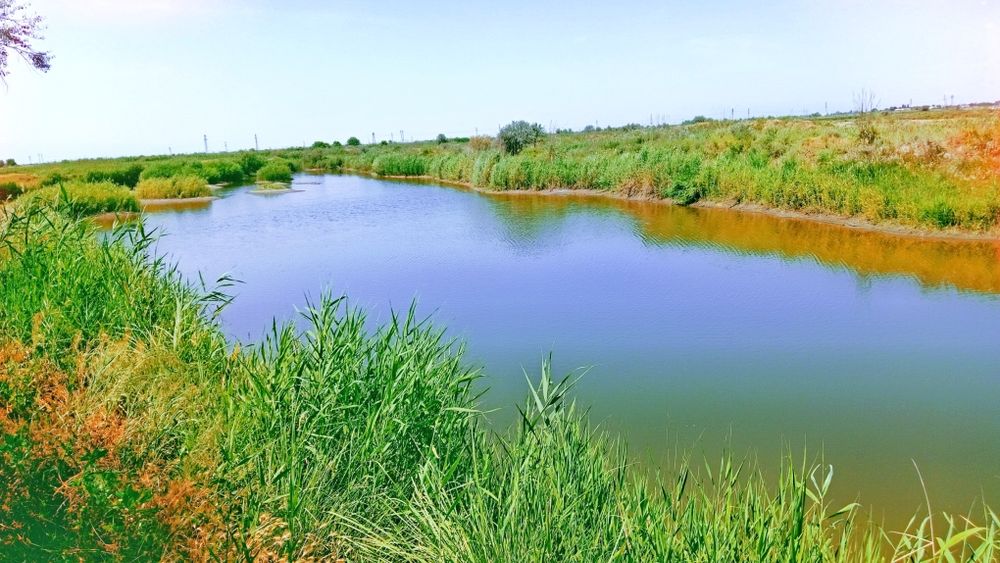 Рыбхоз Рыбхоз Рыбхоз