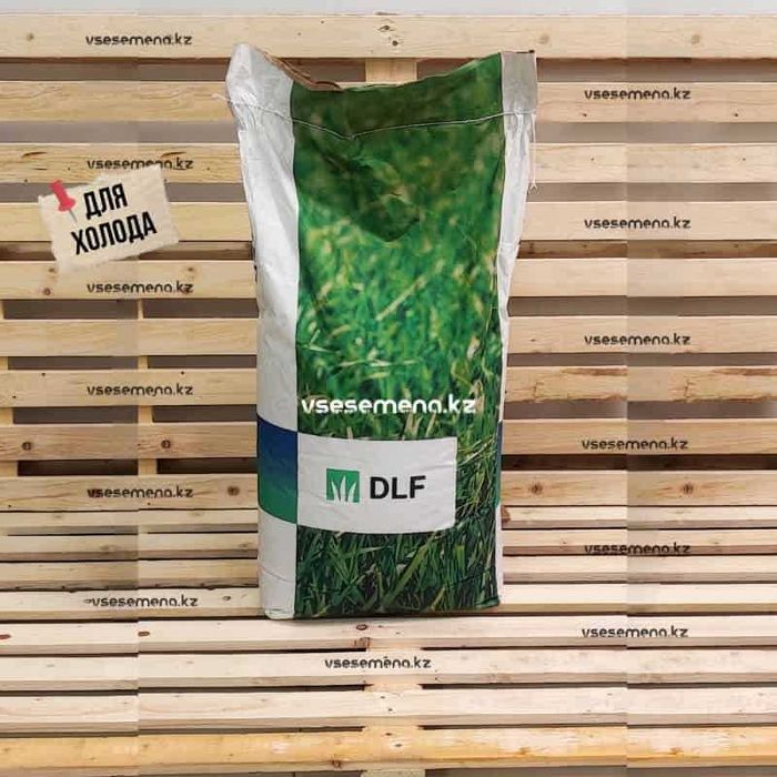 Газон Кокшетау. 3 вида на выбор.