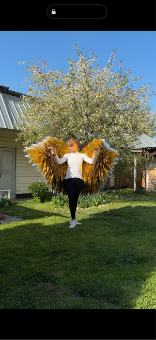 Крылья ангела золотые белые чернве красные  крылья бергута