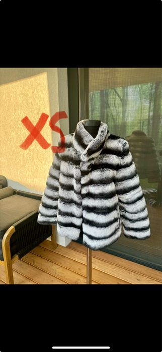 Vand blana din Chinchilla rex la 1200 lei