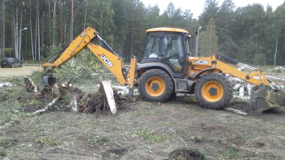 Спил обрезка деревьев.