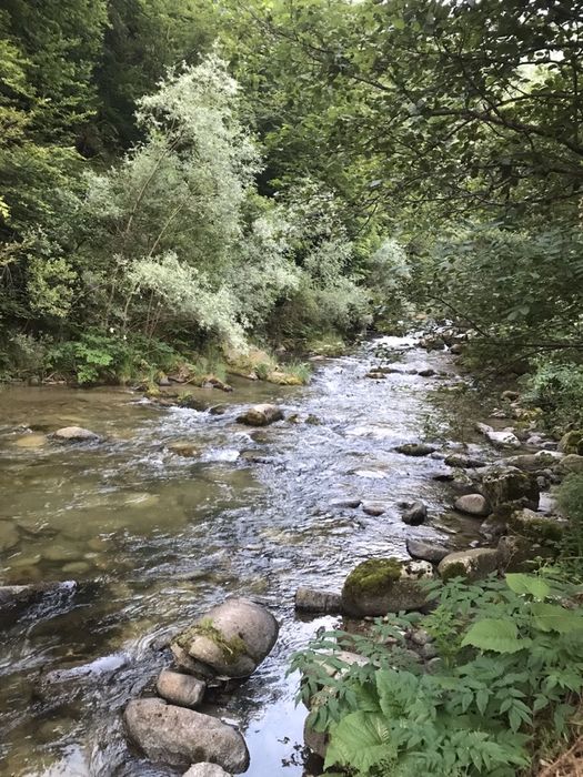 Închiriere Vila Rază de Soare Munții Retezat