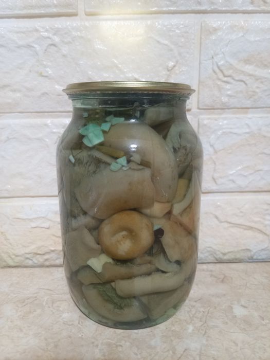 Продам грибы грузди