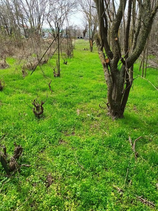 Продавам парцел в село Ведрина с сглобяема къща
