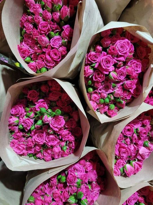 Розы по Акции на 8 марта