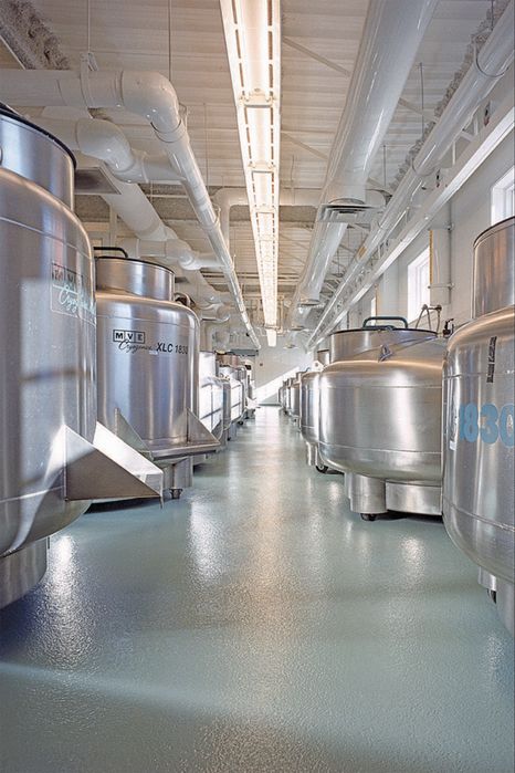 Эпоксидный наливной пол под ключ