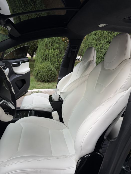Tesla Model X Perfomance Duall Motor