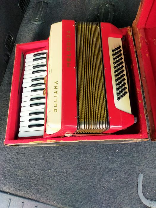 Acordeon mic pentru copii