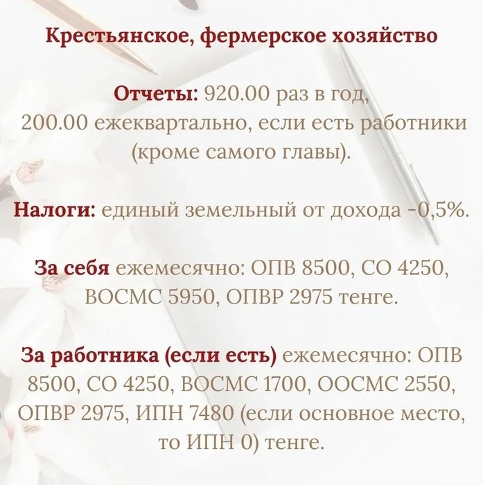 Бухгалтерские услуги