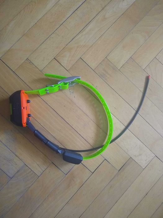 Garmin TT25 каишка за следене на ловни кучета