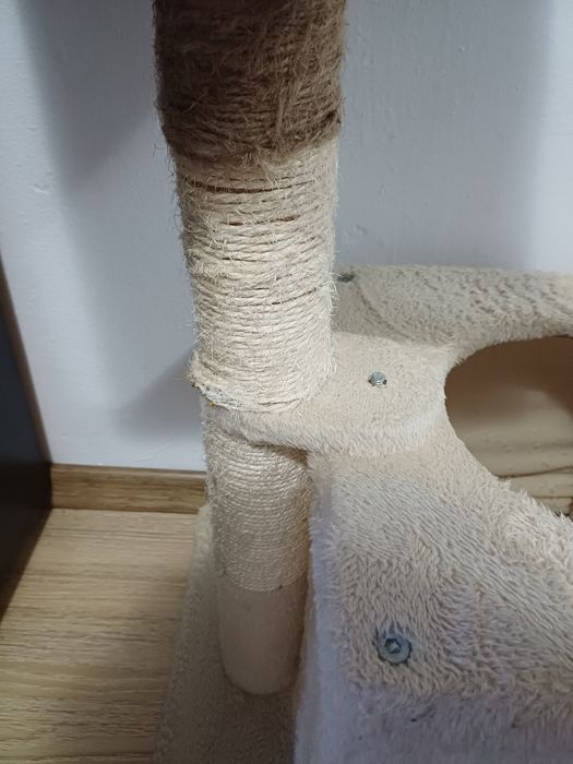 Ansamblu pentru pisici