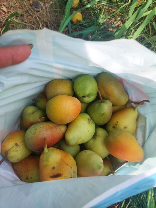 Продам ДАЧУ или ОМБЕН на машину