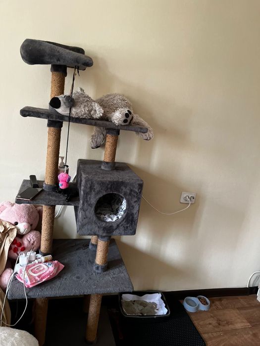 Котенок маленький