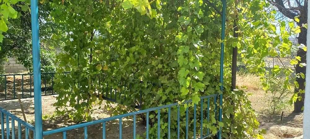 Үй сатылады Хантағы да торлан көшесінде