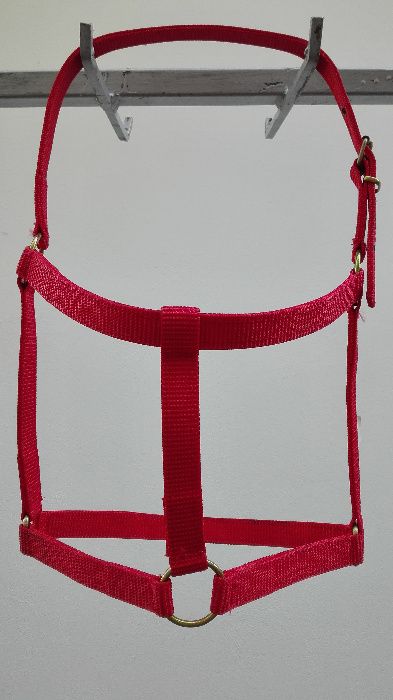 capastru ECVIDEE/BOVINE | art. economy, lucrat din fibre ⟣GARANTIE ⁴⁸