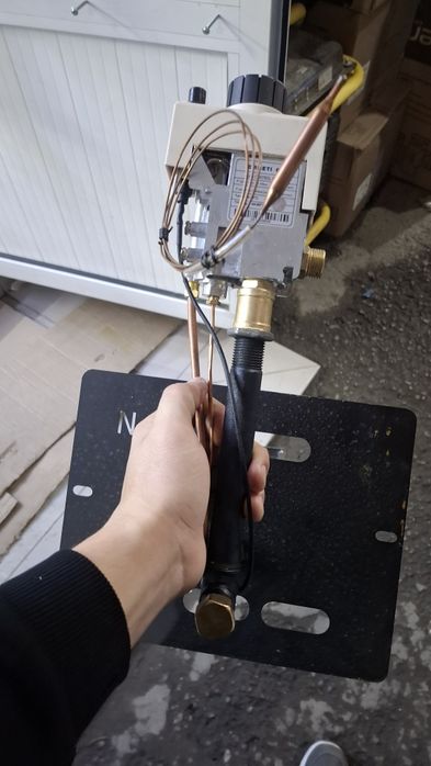 Апок итальянский