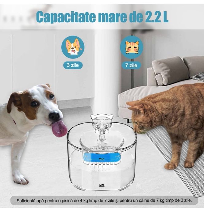 Fântână apa pisici/câini, 2.2L, Transparenta