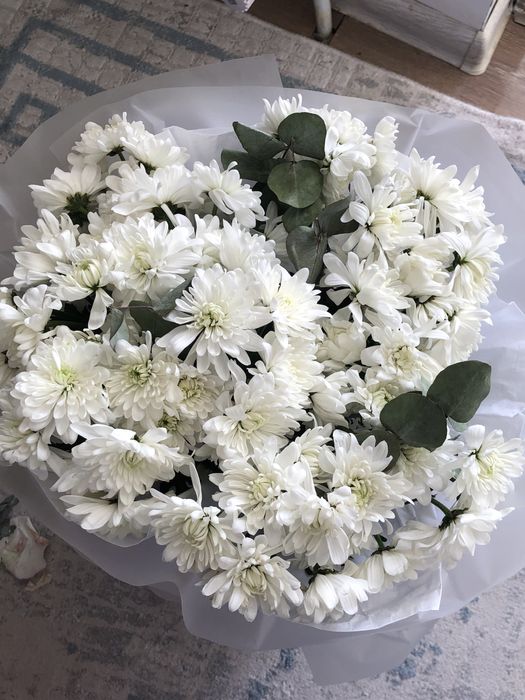 Хризантема 2000 тг