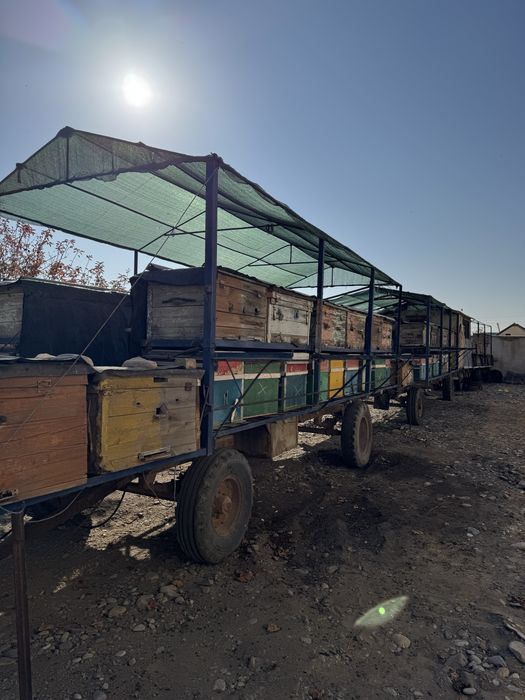 Пчелопавильон / пчелоприцеп с инвентарем