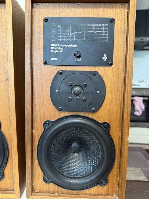 bowers & wilkins DM-5