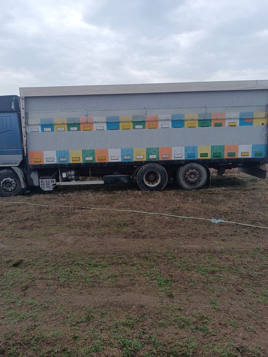 Camion omologat apicol