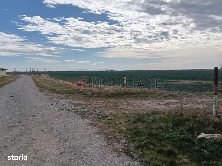 Ferma Agricolă 1.350 HA – Grad de Comasare 96–97%, Județul Arad