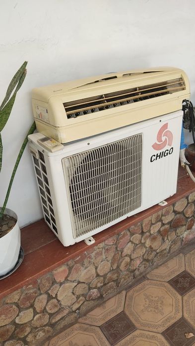 12 talik kandisioner