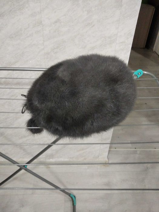 Шапка норка одевали пару раз