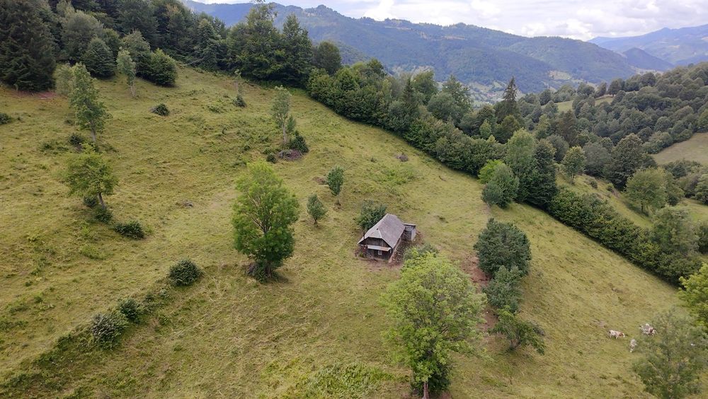 Teren de vânzare