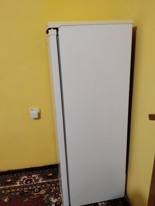 Artel muzlatgich
