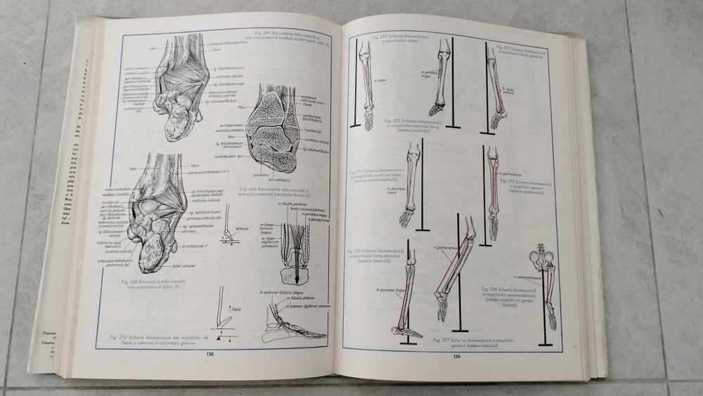 Atlas de anatomie umana, C.Cerbulescu ,1983, vol.1