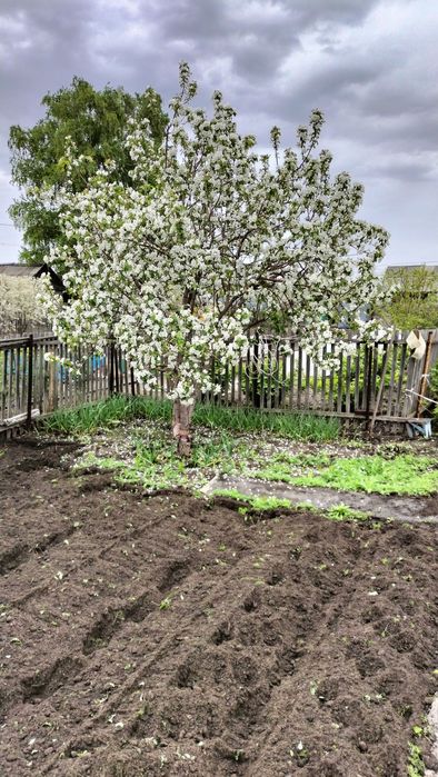 продам дачу на Чапаева