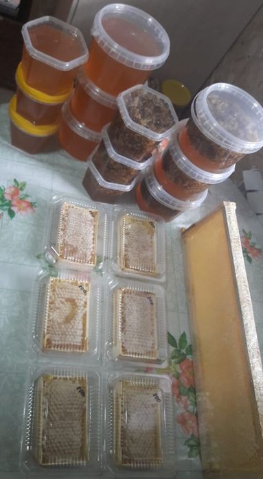 Продам мед со своей пасеки.