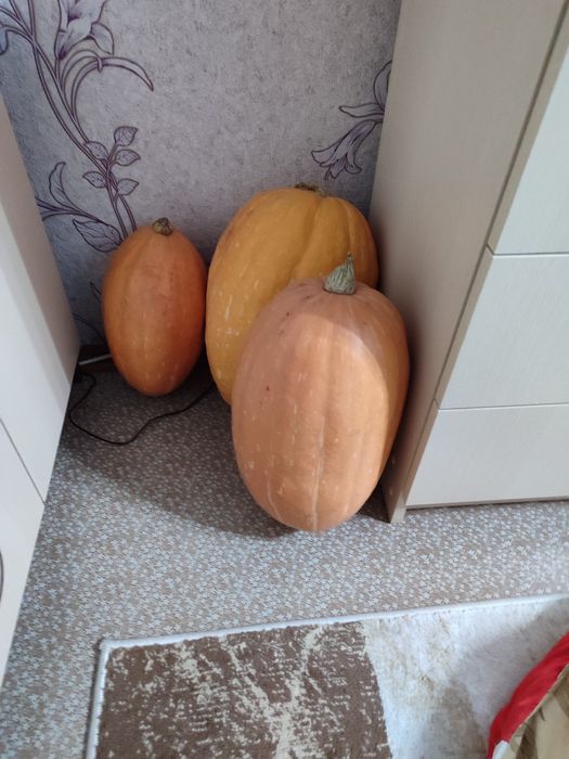Продам сок тыквенный