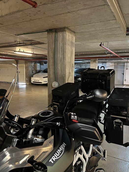 2023 Tiger 900 Rally Pro