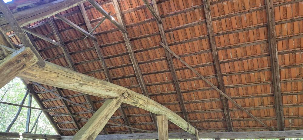 Tigla groasa Muschong elefant facuta la Lugoj