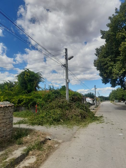 Рязане и кастрене на опасни дървета